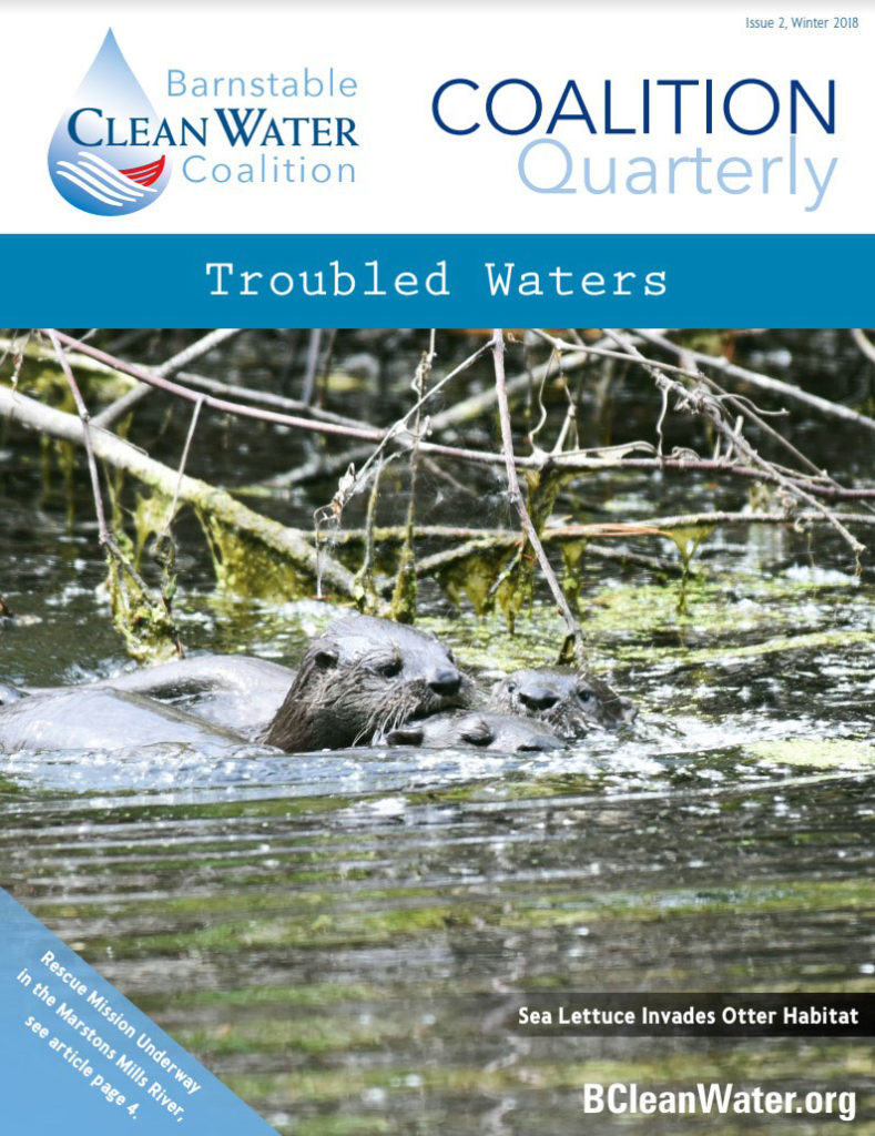 Barnstable Clean Water Coalition Newsletter
