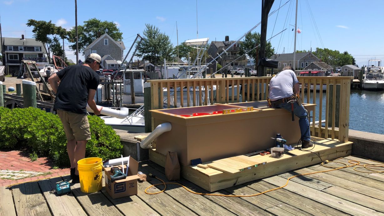 Hyannis Oyster Upweller Barnstable Clean Water Coalition