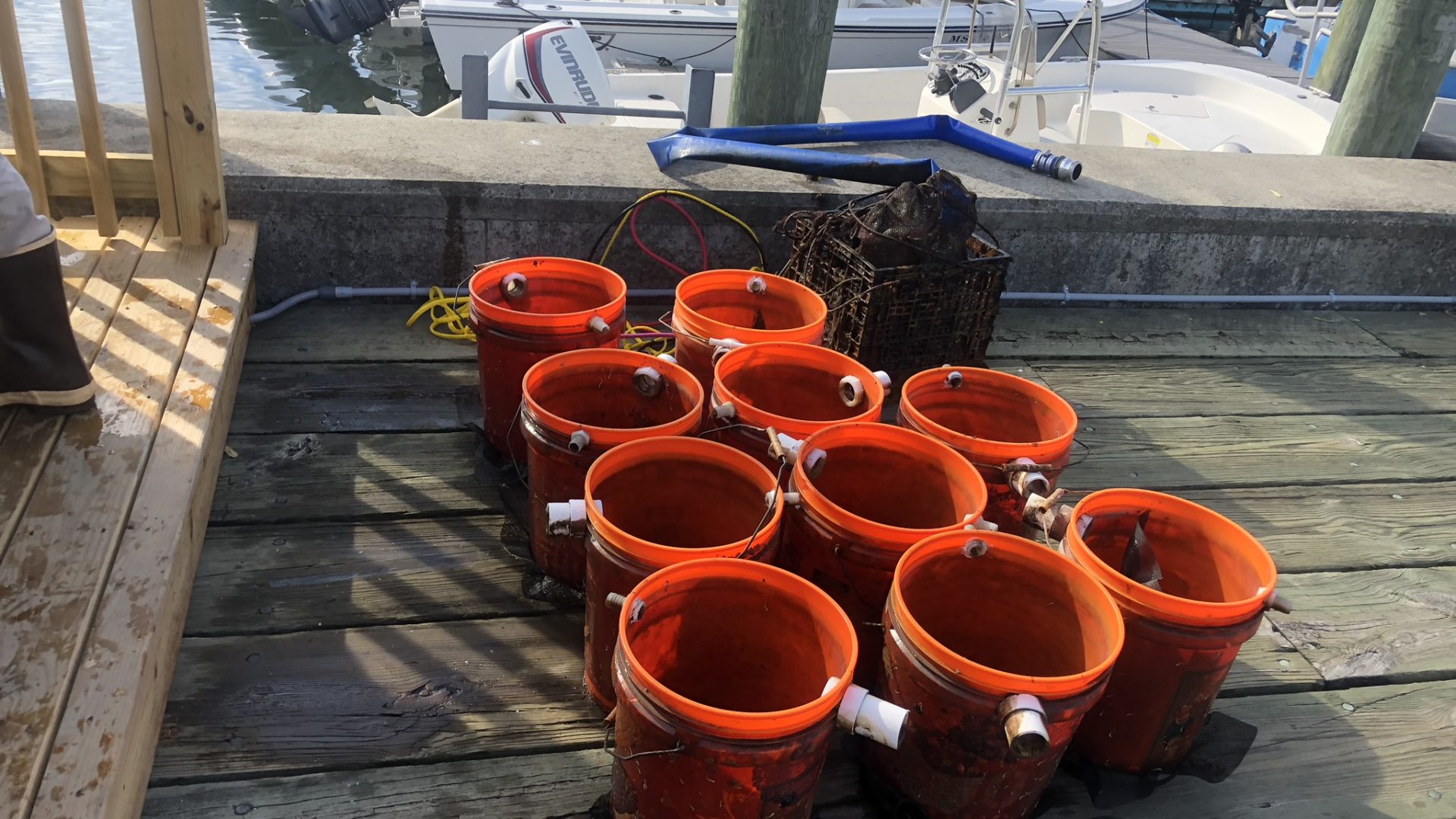 Hyannis Oyster Upweller Barnstable Clean Water Coalition