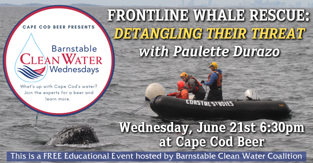 Whale Rescue: Detangling Their Threat