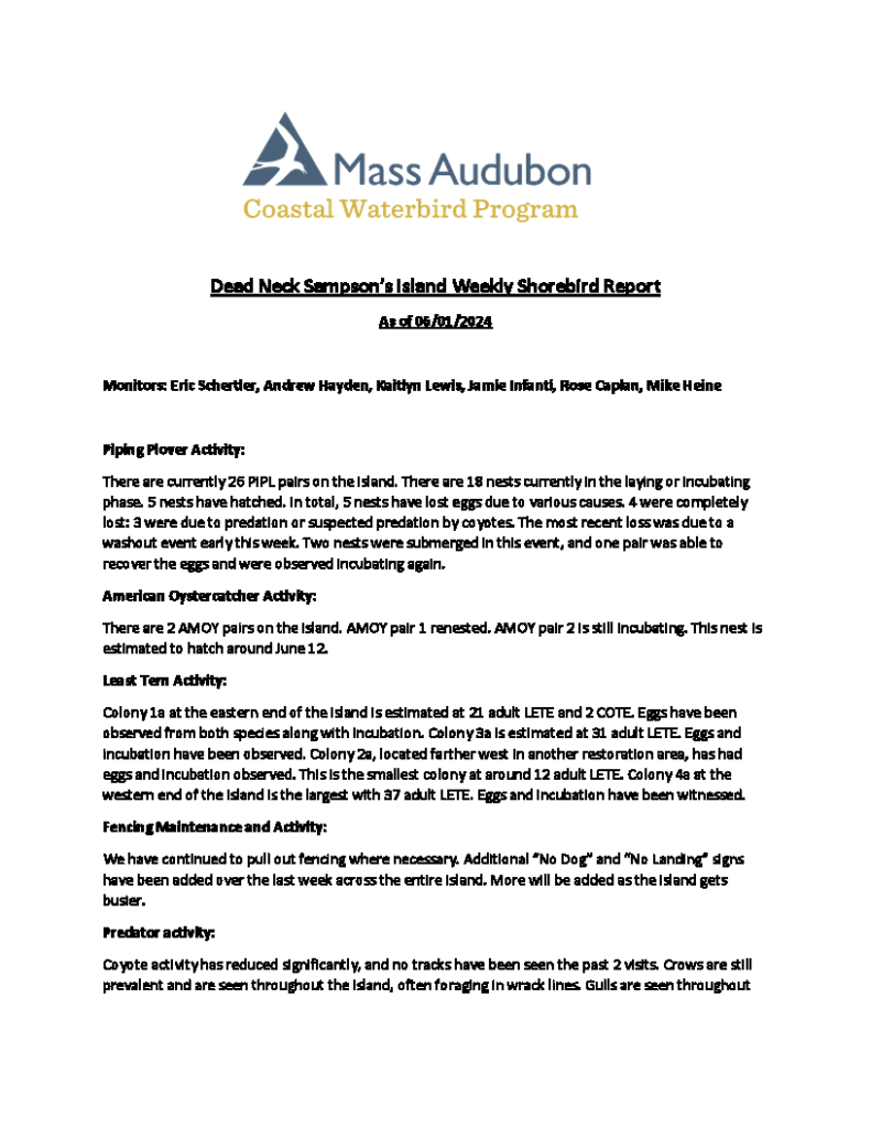 MAS CWP Dead Neck Sampson's Island Weekly Shorebird Report 6.1.2024_Page_1