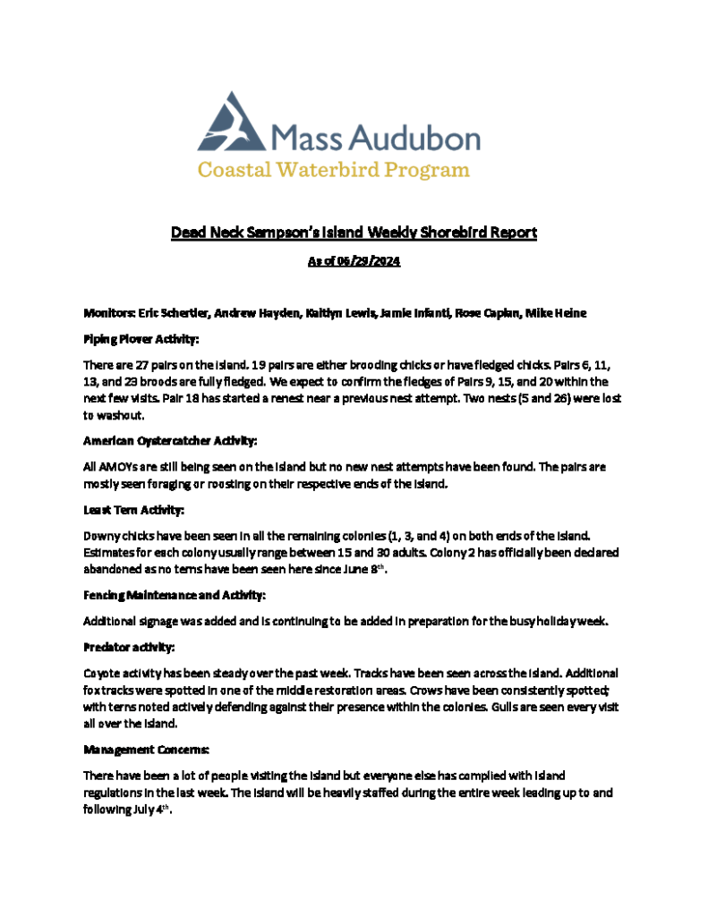 MAS CWP Dead Neck Sampson's Island Weekly Shorebird Report 6.29.2024