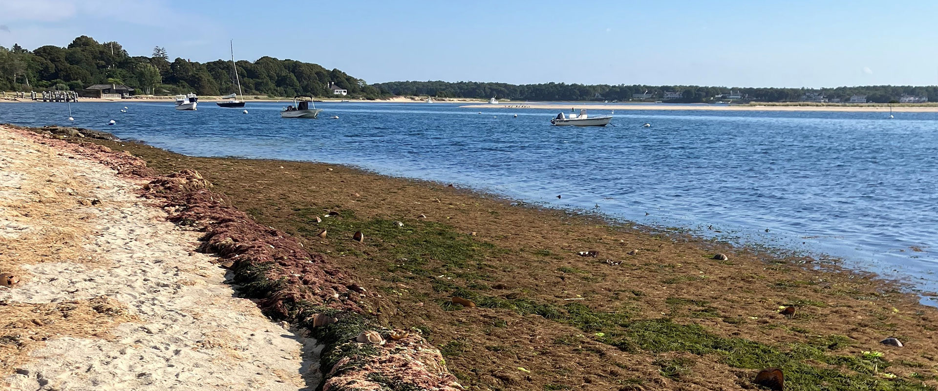 Barnstable Clean Water Coalition