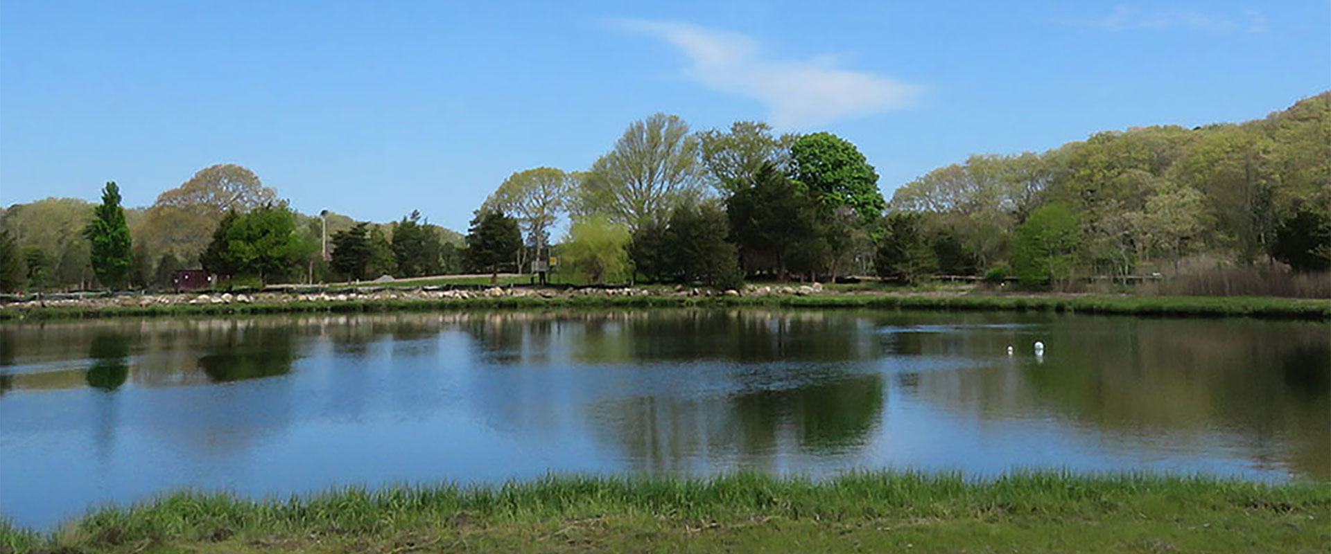 Cape Cod Pond