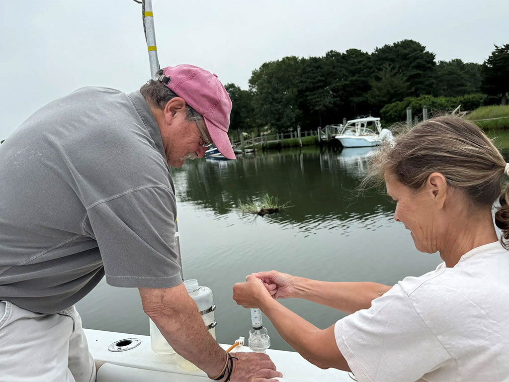 water quality test sample