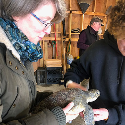 Christy Laidlaw Development Consultant Barnstable Clean Water Coalition