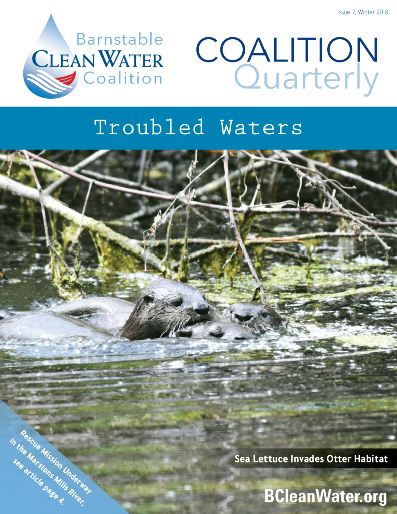 Cover for BCWC Quarterly: 'Troubled Waters' with otter habitat in a river and tangled branches in the water