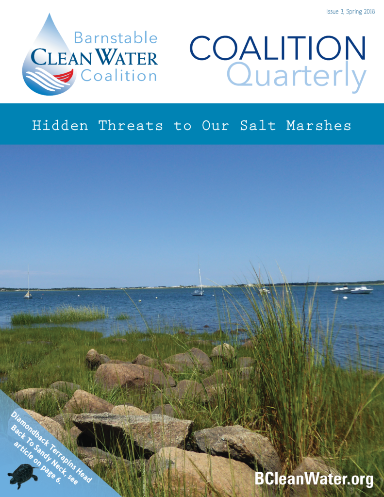 Magazine cover showing the headline 'Hidden Threats to Our Salt Marshes' over a coastal scene with blue sky, water, grasses, and rocks.