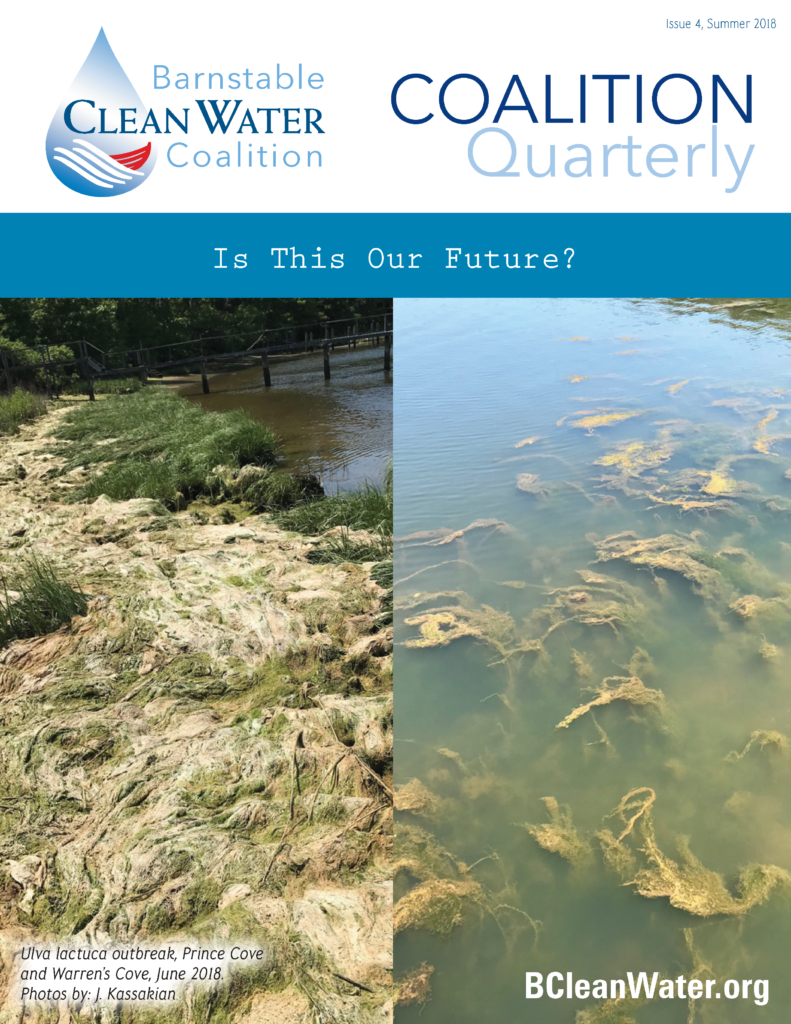 Collage with Barnstable Clean Water Coalition logo and 'Is This Our Future?' banner over a split shore-and-water photo, with caption text and BCleanWater.org.